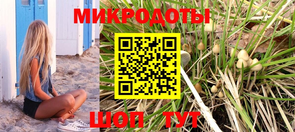 Галлюциногенные грибы прущие грибы  Псилоцибиновые грибы Magic Shrooms  Вход с VPN  Елизово 